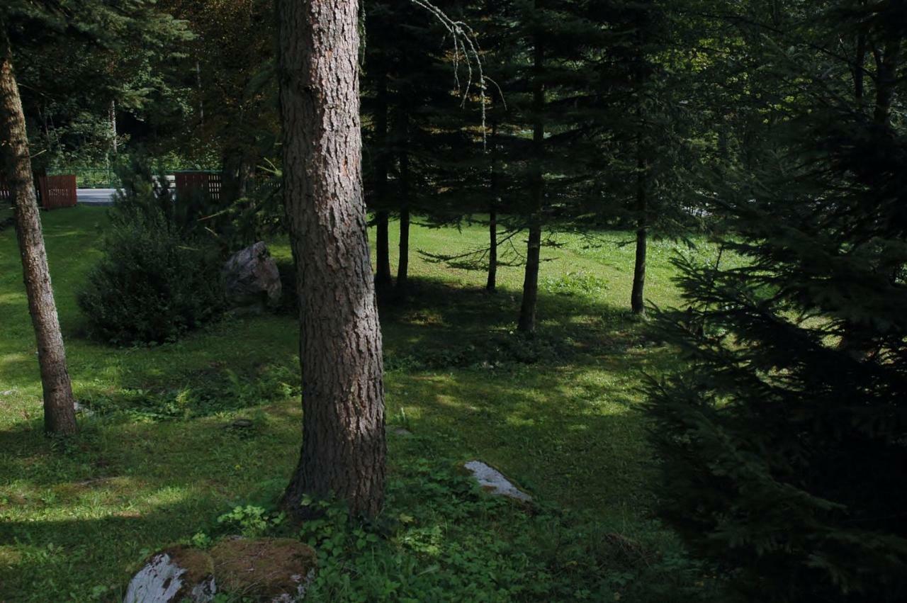 Orli Hnizdo Villa Černý Dŭl Buitenkant foto