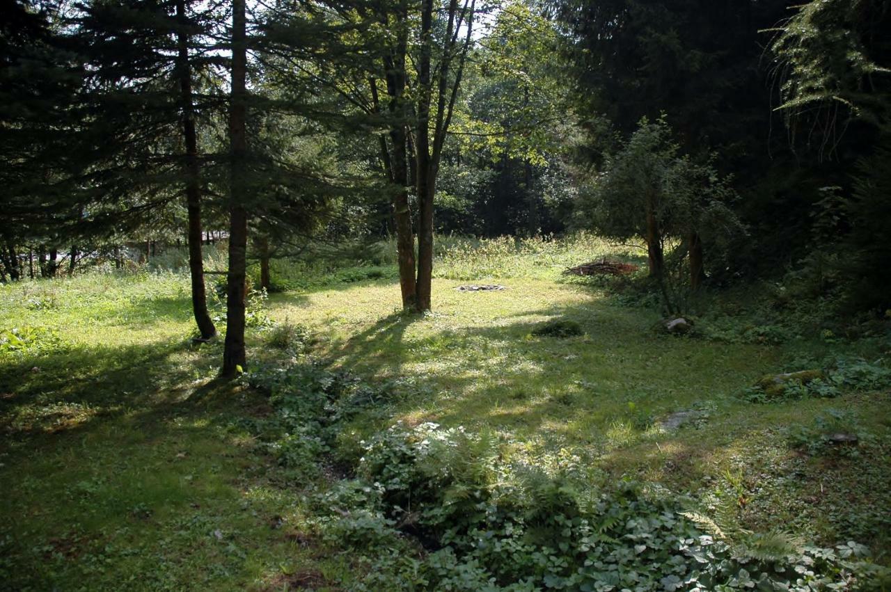 Orli Hnizdo Villa Černý Dŭl Buitenkant foto